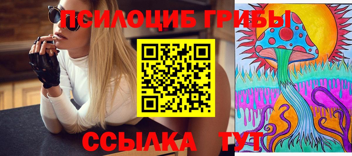 Галлюциногенные грибы Magic Shrooms Зима